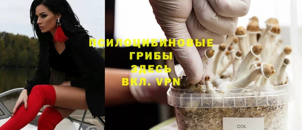 прущая мука Волгодонск