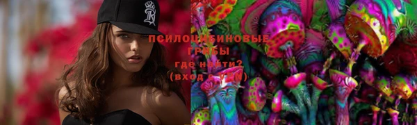 твердый Новочеркасск