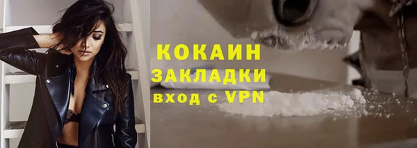 прущие грибы Абинск